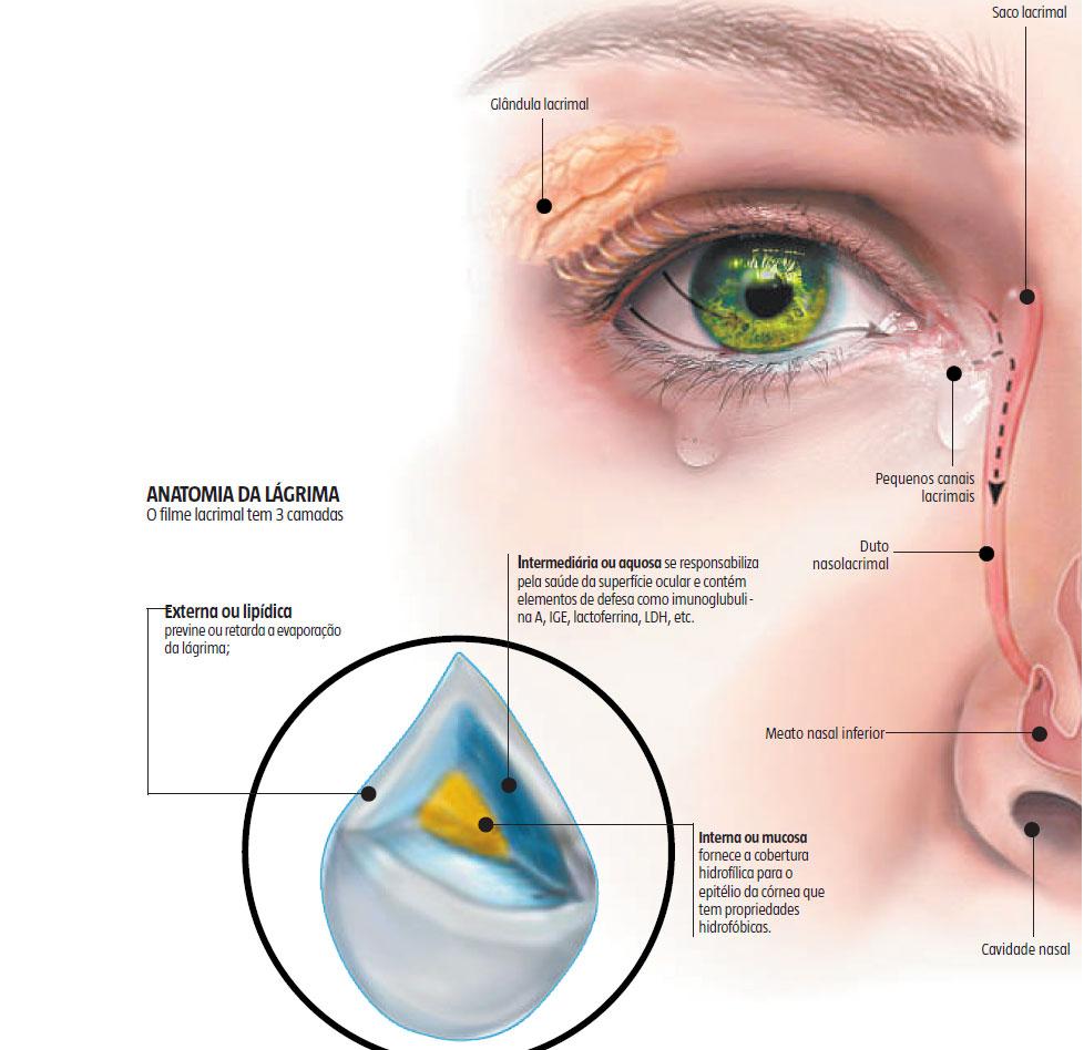 Blefarite: quais são as causas, consequências e tratamento? – Instituto de  olhos de Florianópolis